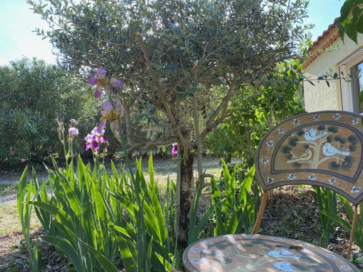 L'Eveil En Provence Bed and Breakfast Entrecasteaux Eksteriør billede