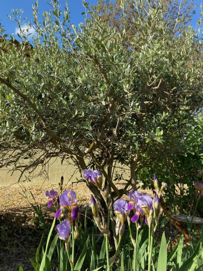 L'Eveil En Provence Bed and Breakfast Entrecasteaux Eksteriør billede